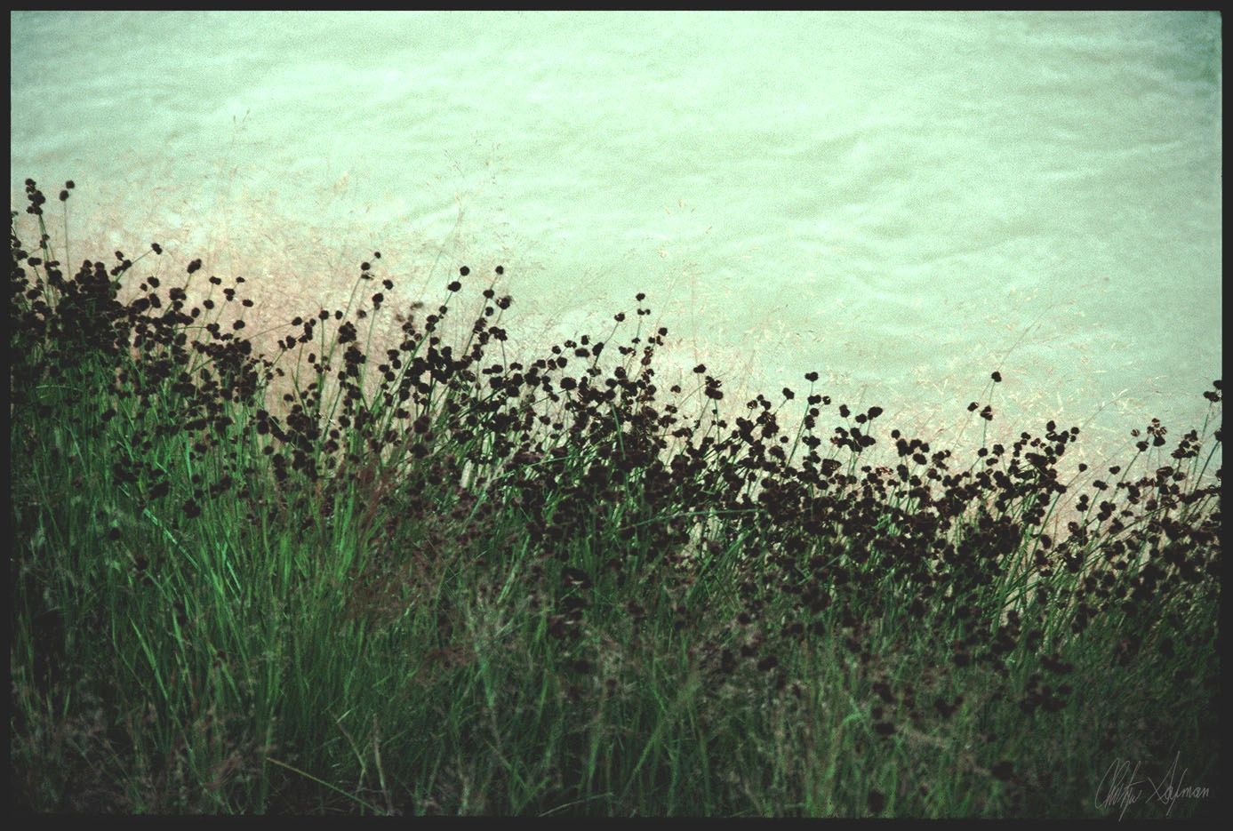 CK Rivers Edge abstract photograph