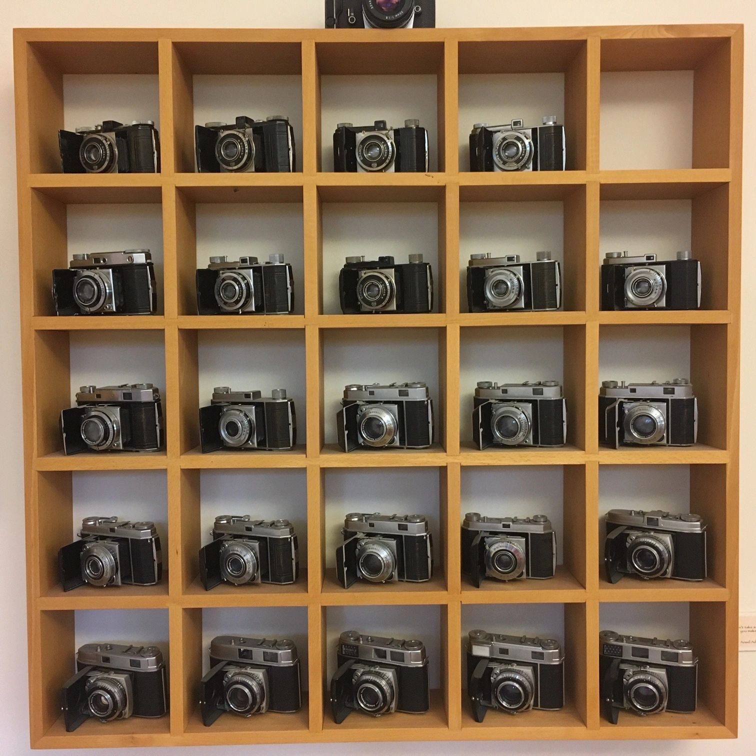 Vintage film cameras displayed on wooden shelving
